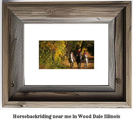 horseback riding near me in Wood Dale, Illinois